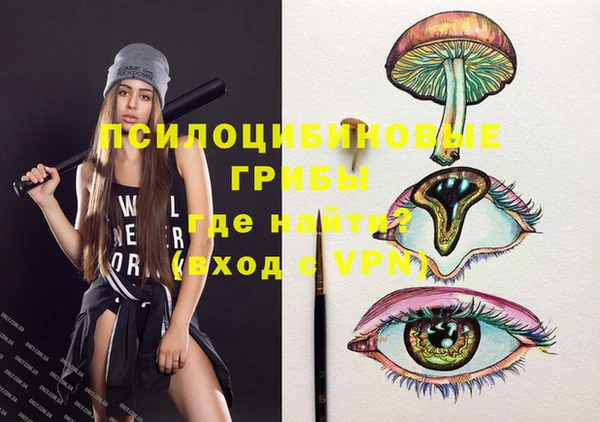 бошки Алзамай