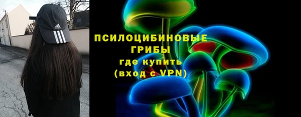 бошки Алзамай