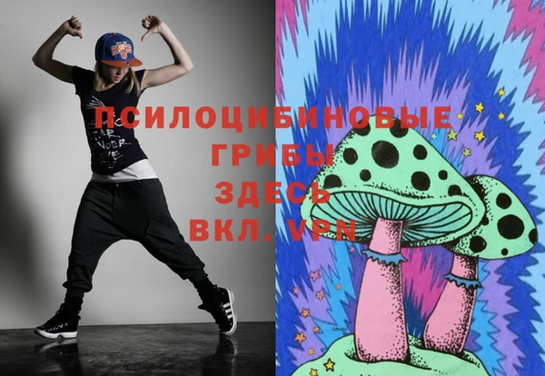 бошки Алзамай