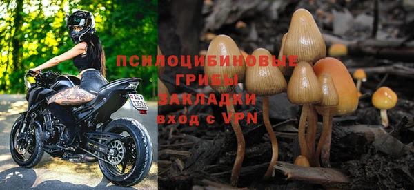 дурь Алексеевка
