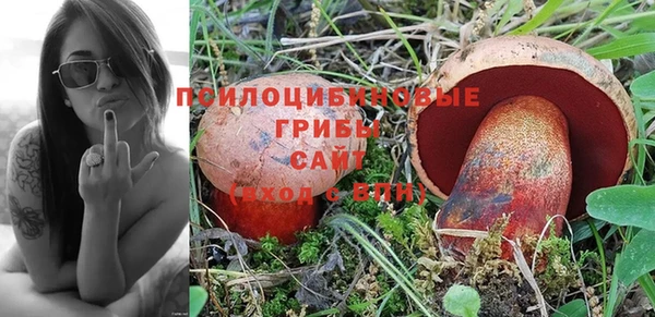 бошки Алзамай