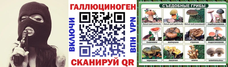 Псилоцибиновые грибы Cubensis MEGA ONION Буй